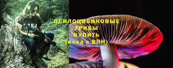 крисы Абдулино